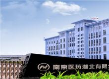 南京醫藥湖北有限公司